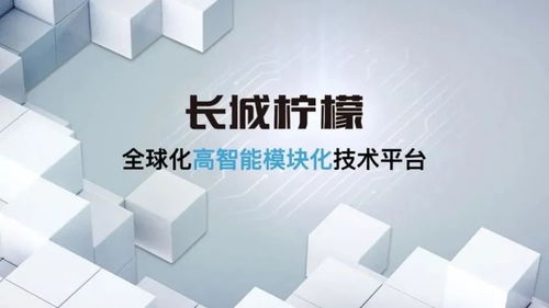 科技长城 公开课正式开讲 这次 柠檬 让汽车圈 酸 了