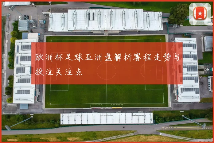 欧洲杯足球亚洲盘解析赛程走势与投注关注点