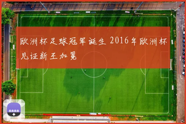 欧洲杯足球冠军诞生 2016年欧洲杯见证新王加冕