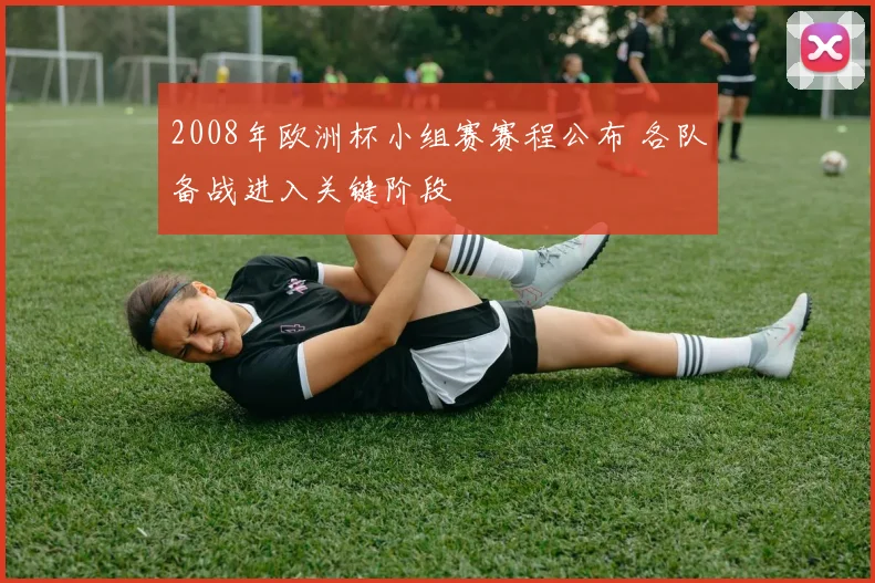 2008年欧洲杯小组赛赛程公布 各队备战进入关键阶段